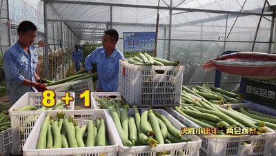 如何迈向高质量发展新时代？宁德市委书记这么说-6.jpg