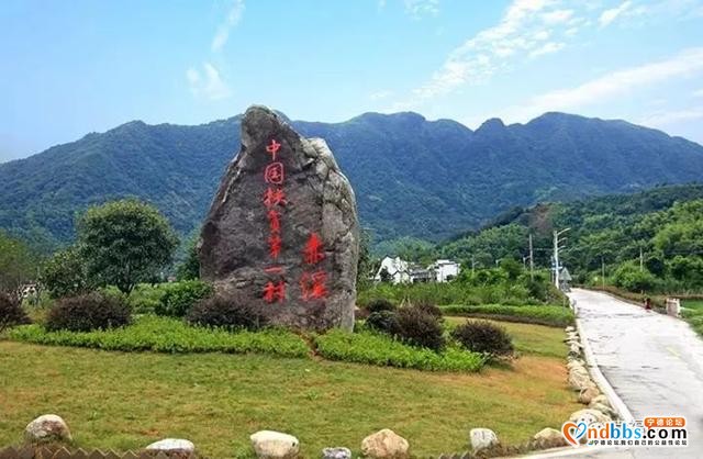 弱鸟先飞！宁德奋力书写脱贫攻坚新答卷-2.jpg