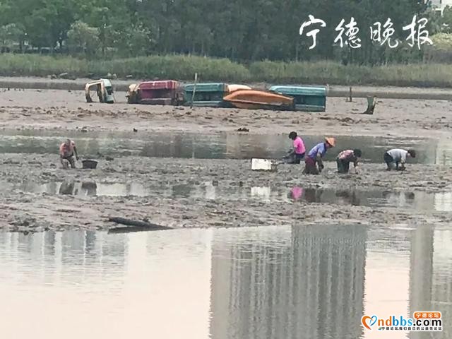 宁德新闻红黑榜丨东湖水位见底，有市民“讨小海”-2.jpg