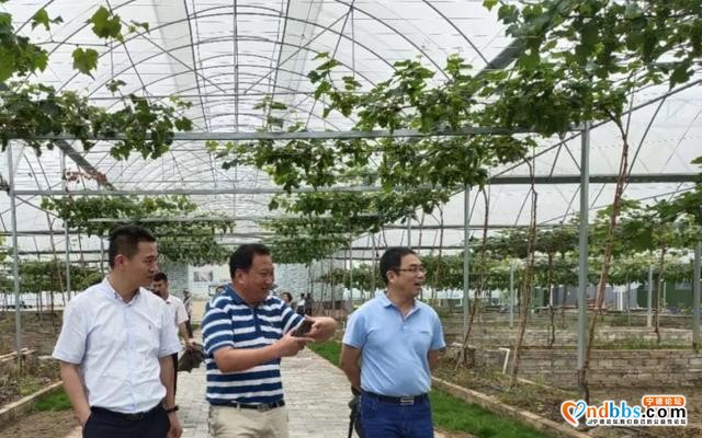 福安：宁德市乡村振兴专家服务团到福安市送“技术大餐”-2.jpg