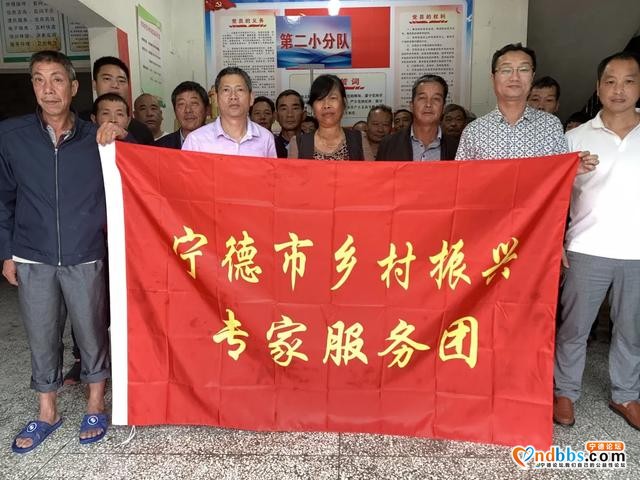 福安：宁德市乡村振兴专家服务团到福安市送“技术大餐”-6.jpg