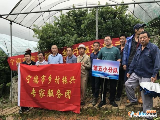 福安：宁德市乡村振兴专家服务团到福安市送“技术大餐”-12.jpg