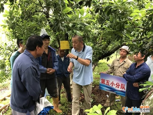 福安：宁德市乡村振兴专家服务团到福安市送“技术大餐”-13.jpg
