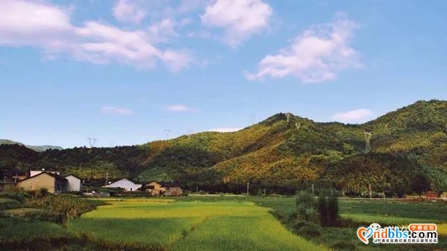 宁德：游在蕉城——诗情画意寻洋头-5.jpg