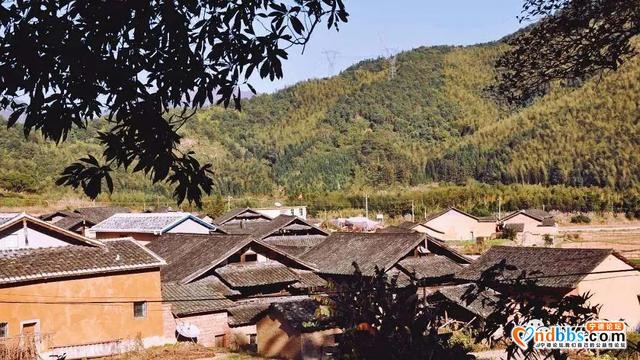 宁德：游在蕉城——诗情画意寻洋头-7.jpg