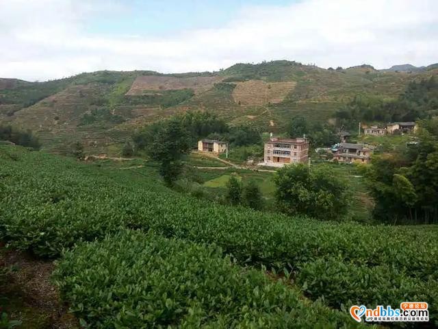 宁德：游在蕉城——诗情画意寻洋头-6.jpg