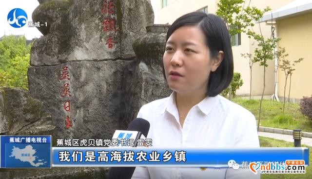 莆田市新闻：借势新媒体，这帮人在蕉城带头“搞事”-6.jpg