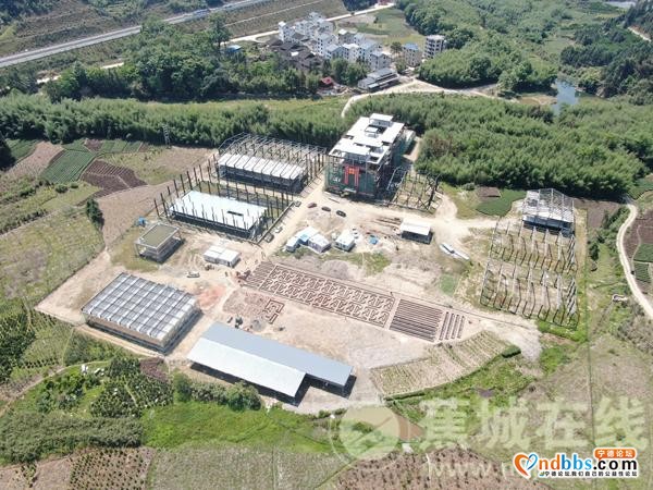 宁德：田园综合体核心区建设项目标志棚封顶-5.jpg