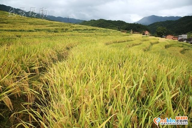 宁德风光——屏南：清歌绿溪话柏源-5.jpg