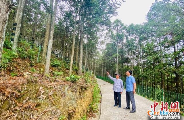 福建宁德30多年的发展变迁：滴水穿石、久久为功-5.jpg