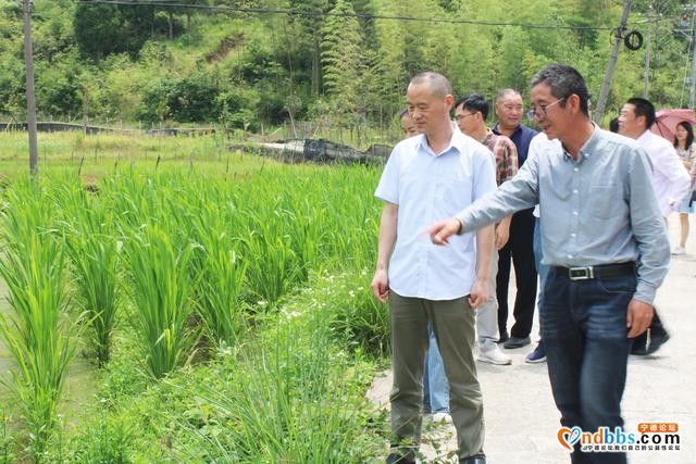 宁德市科协开展科技志愿服务 推进农业产业提质增效-2.jpg