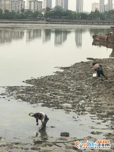 宁德新闻红黑榜丨危险啊！大马路中间下水道井盖掀起无人管-8.jpg