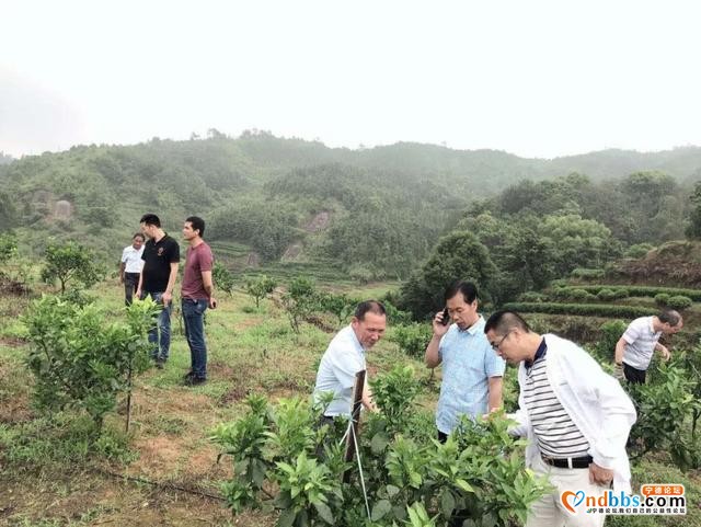 宁德市农科所专家参与“十百千万”专家服务 乡村振兴活动-1.jpg