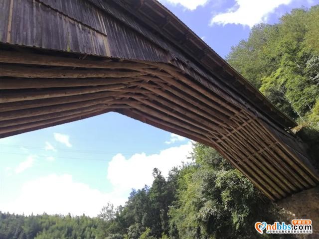 宁德：这处深藏在寿宁青山绿水中的小众秘境，此刻去正好-5.jpg