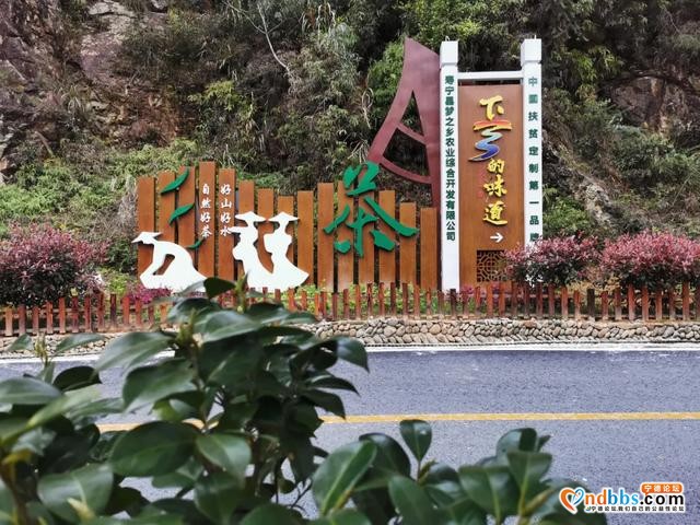 宁德：这处深藏在寿宁青山绿水中的小众秘境，此刻去正好-12.jpg