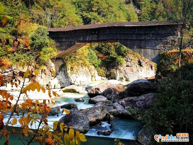 宁德：这处深藏在寿宁青山绿水中的小众秘境，此刻去正好-8.jpg