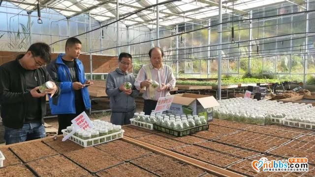 蕉城最美科技工作者就在您身边，值得一学一看-5.jpg