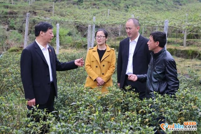 【脱贫攻坚】宁德：“滴水如何穿石？” 看这个法院司法助力扶贫攻坚！-8.jpg