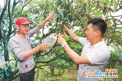 宁德：脱贫，幸福生活新起点-3.jpg