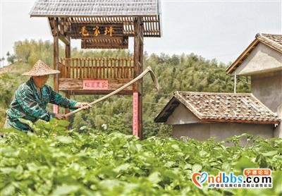 宁德：脱贫，幸福生活新起点-1.jpg