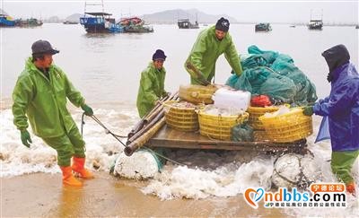 宁德：脱贫，幸福生活新起点-6.jpg