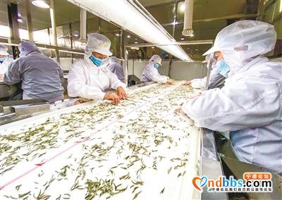 宁德：脱贫，幸福生活新起点-5.jpg