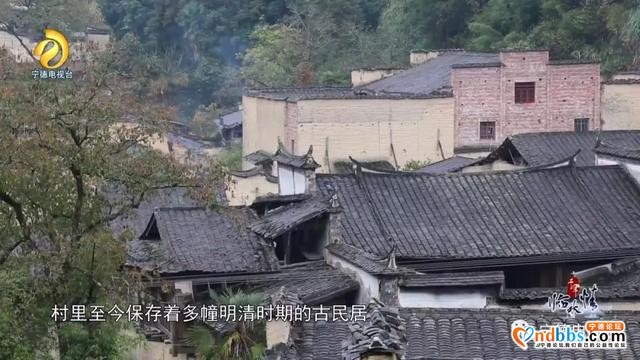 宁德古田：千年临水情之《破晓枪声》-2.jpg