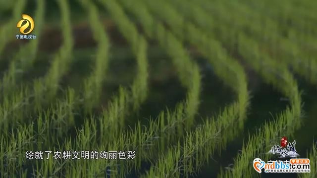 宁德古田：千年临水情之《破晓枪声》-26.jpg