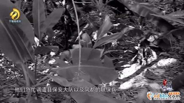 宁德古田：千年临水情之《破晓枪声》-31.jpg