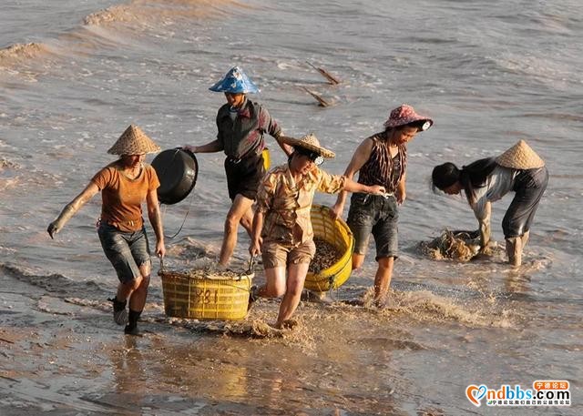 是时候去蕉城实现“海鲜自由”了-6.jpg
