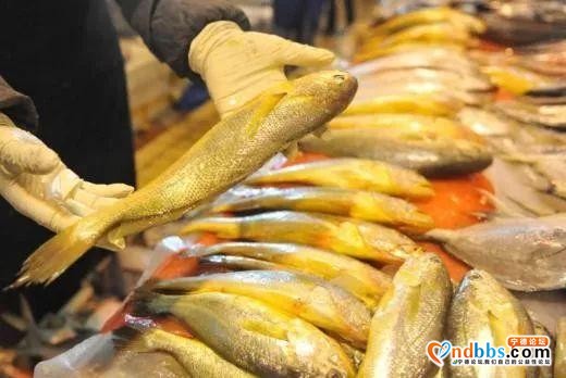是时候去蕉城实现“海鲜自由”了-2.jpg