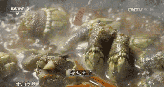 是时候去蕉城实现“海鲜自由”了-15.jpg