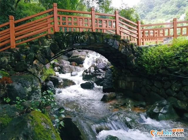 桥，蕉城！-14.jpg