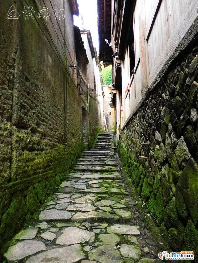 宁德风光：「行游屏南」从茶路盐道走到茶盐古道（一）-1.jpg