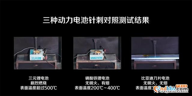 网友众筹做针刺打脸宁德时代？刀片电池和三元锂到底谁更强？-3.jpg