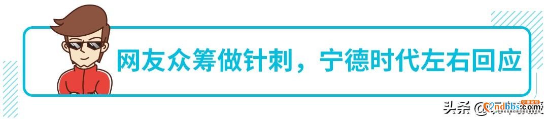 网友众筹做针刺打脸宁德时代？刀片电池和三元锂到底谁更强？-6.jpg