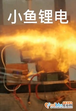 宁德时代应尊重比亚迪这样的对手-5.jpg