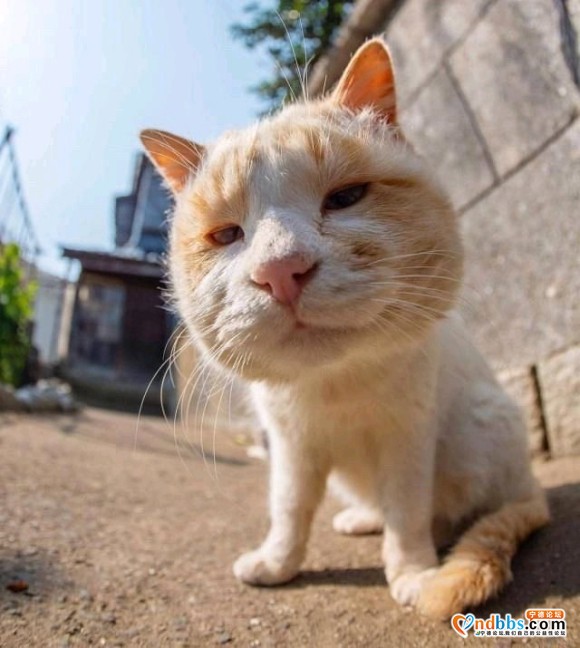 今天去办护照被拒绝了 说我理由不够充分 疫情过了才能办贴吧大-2.jpg