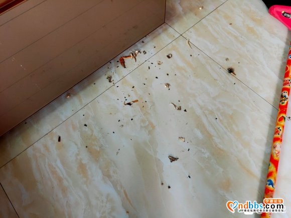 两天没回家就变这样了，讨厌的老鼠-4.jpg