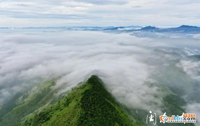 宁德市霞浦县：连续出现云海奇观，美到你窒息-7.jpg