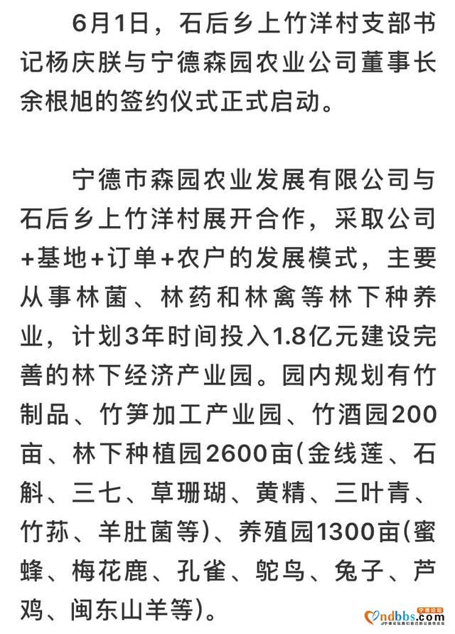 蕉城区石后乡落个林下经济大项目-2.jpg