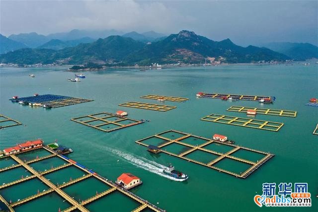 福建宁德海上养殖综合整治进入收尾阶段-7.jpg