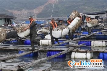 宁德海上养殖综合整治进入收尾阶段「组图」-3.jpg