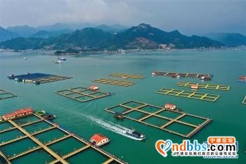 宁德海上养殖综合整治进入收尾阶段「组图」-4.jpg