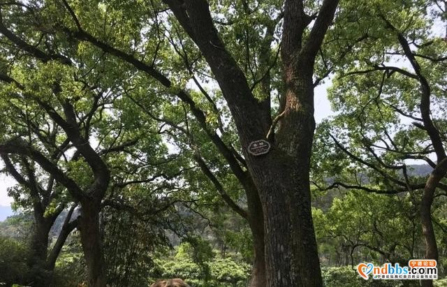 世界环境日 | 走在乡间小路上的生态公益检察行-5.jpg