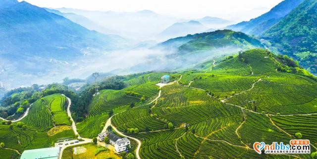 有得玩有得喝……福安这些地方越来越火啦-3.jpg