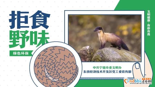 宁德火车站首趟旅游专列今开行！上车，一起游览汀州古城、古田会址、永定土楼……-50.jpg