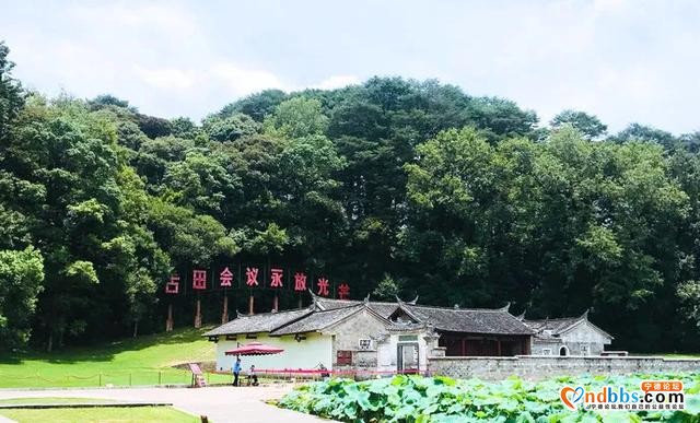 宁德火车站首趟旅游专列今开行！上车，一起游览汀州古城、古田会址、永定土楼-24.jpg
