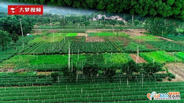 空中新蕉城 | 快来这个洞天福地消夏发呆吧-1.jpg