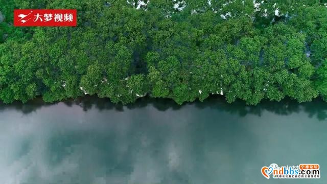 空中新蕉城 | 快来这个洞天福地消夏发呆吧-10.jpg